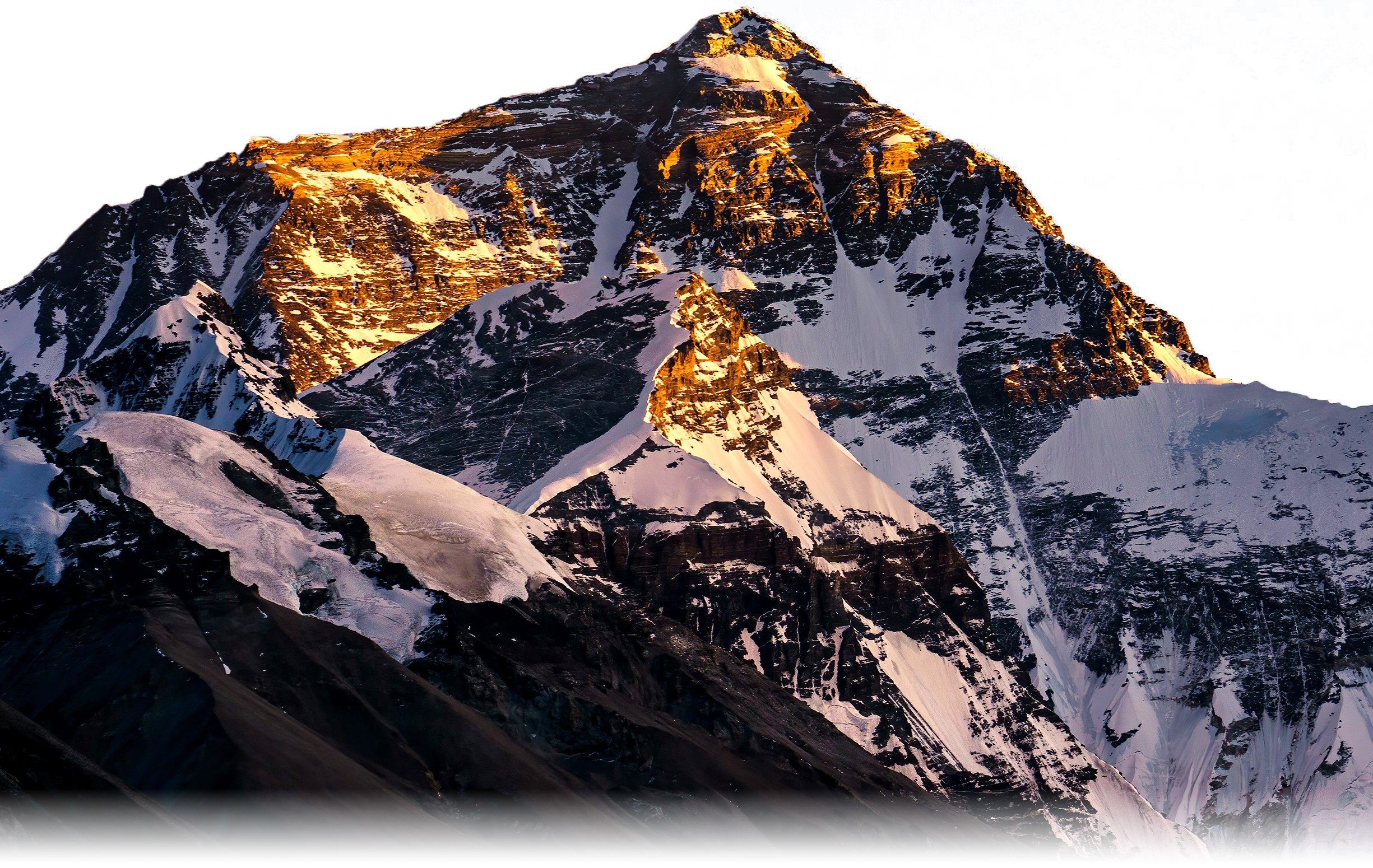 <h6>Young Professional Fellowship Nepal</h6>
