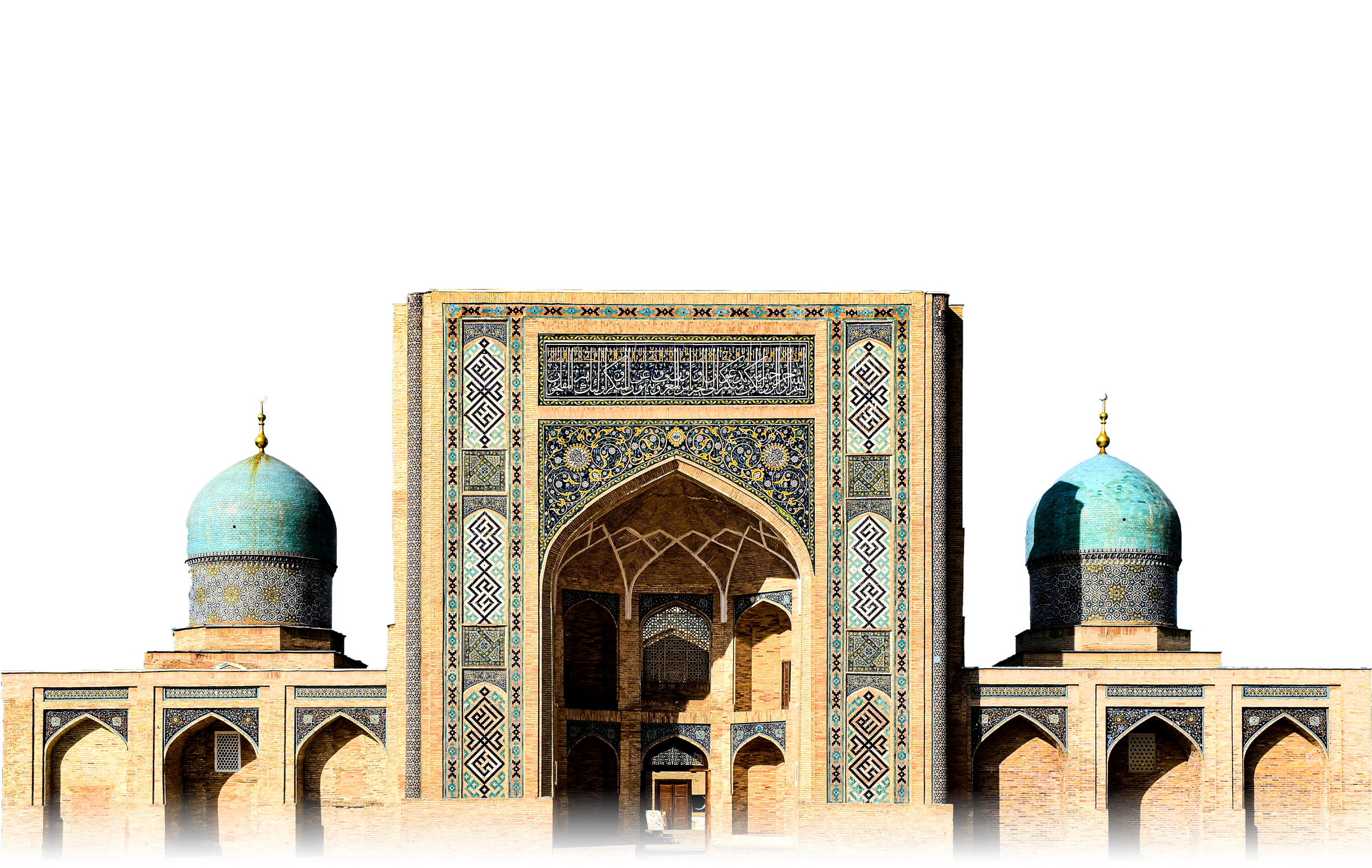 <h6>Young Professional Fellowship Uzbekistan</h6>
