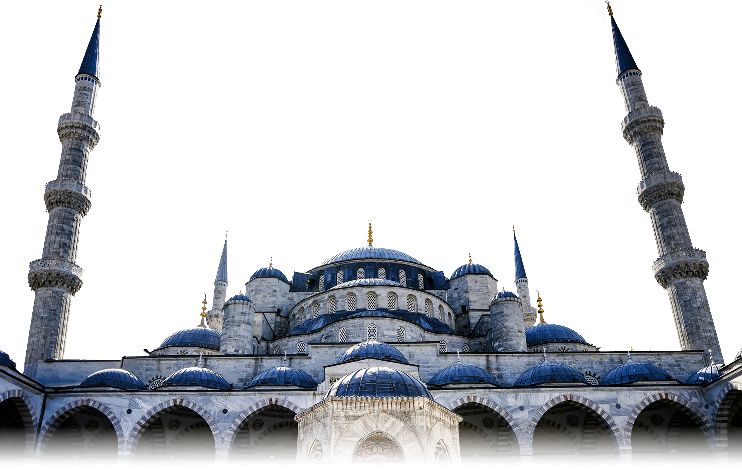 <h6>Young Professional Fellowship Turkiye</h6>
